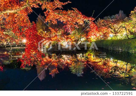 Illuminated autumn leaves of Eikando 133722591