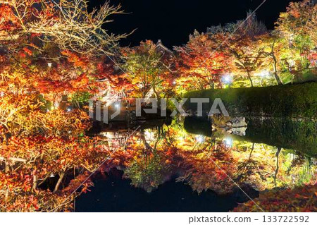 Eikando的秋葉照亮 133722592