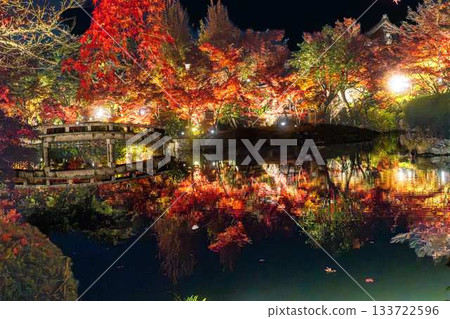 Eikando的秋葉照亮 133722596