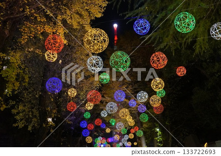 Skytree as seen from Ushijima Shrine 133722693