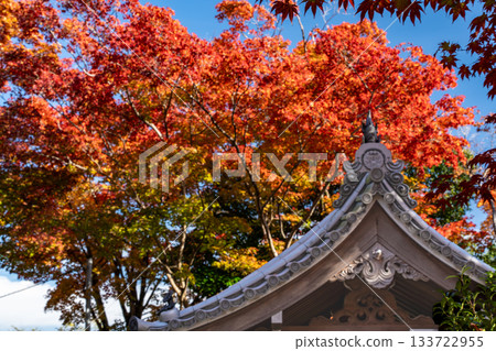 京都秋葉美景 京都秋葉美景 133722955