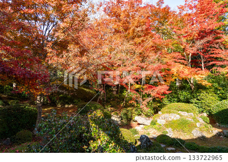 京都秋葉美景 京都秋葉美景 133722965