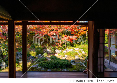 京都秋葉美景 京都秋葉美景 133722966