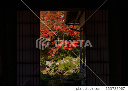 Kyoto scenery with autumn leaves Kyoto scenery with autumn leaves 133722967