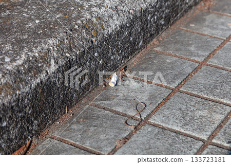 Littery cigarette 133723181