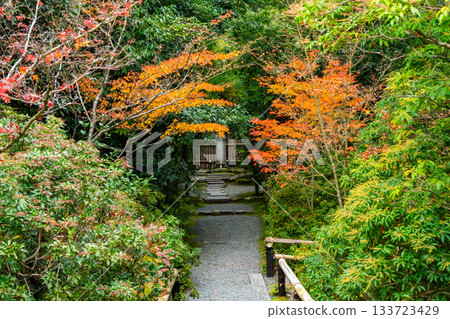京都秋葉美景 京都秋葉美景 133723429