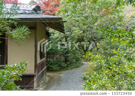 Kyoto scenery with autumn leaves 133723450