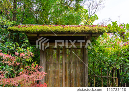 Kyoto scenery with autumn leaves Kyoto scenery with autumn leaves 133723458