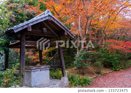 京都秋葉美景 京都秋葉美景 133723475
