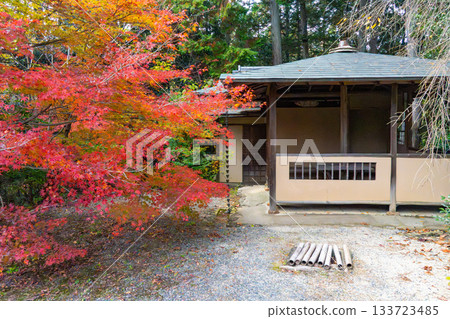 Kyoto scenery with autumn leaves Kyoto scenery with autumn leaves 133723485