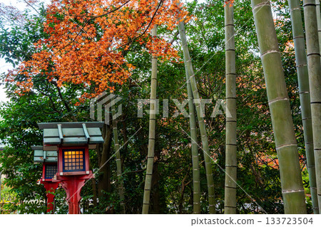 京都秋葉美景 京都秋葉美景 133723504