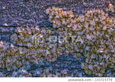 Frost Ice Crystals Formed on the wood in Nature. Abstract nature Frost Ice Crystals Formed on the wood in Nature. Abstract nature 133723779