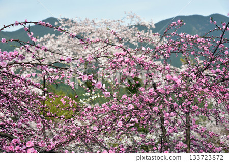 Tanzan Shrine Spring at Mount Tonomine 133723872