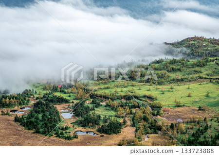 Gunma Shibu Pass: A sea of clouds spreads over a high moor and a larch forest beginning to change color Gunma Shibu Pass: A sea of clouds spreads over a high moor and a larch forest beginning to change color 133723888