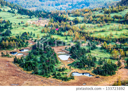 群馬縣志布峠附近秋季高原沼澤和池塘的鳥瞰圖 群馬縣志布峠附近秋季高原沼澤和池塘的鳥瞰圖 133723892