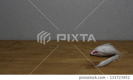 Realistic White Mouse Toy on Wooden Surface for Pets 133723952