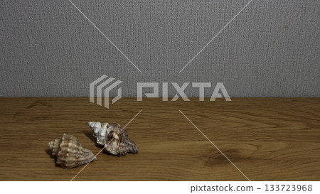 Natural Seashells on Wooden Surface with Textured Background Natural Seashells on Wooden Surface with Textured Background 133723968