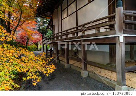 A temple covered in autumn leaves 133723993
