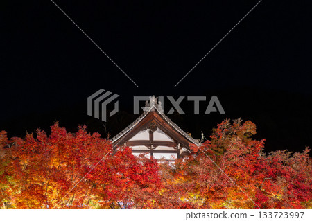 京都的秋葉被燈光照亮 133723997