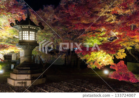 Autumn leaves in Kyoto illuminated Autumn leaves in Kyoto illuminated 133724007