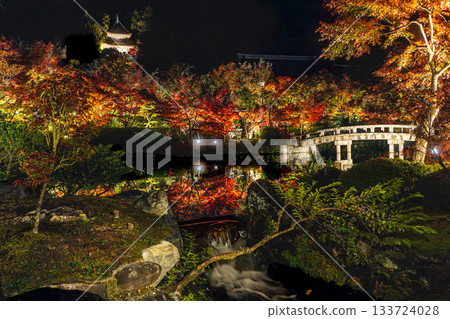 京都的秋葉被燈光照亮 133724028