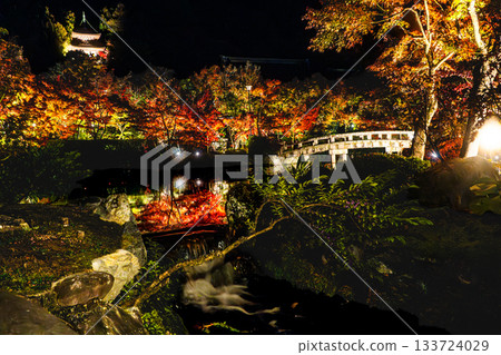 Autumn leaves in Kyoto illuminated 133724029