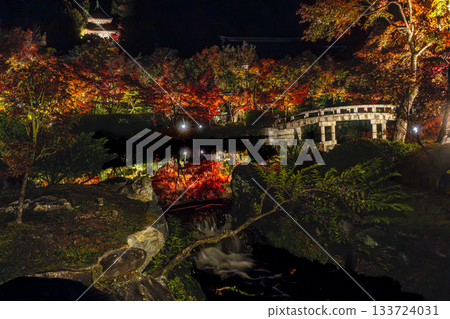 Autumn leaves in Kyoto illuminated 133724031