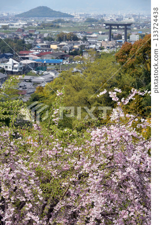春日大美輪神社展望台 133724438
