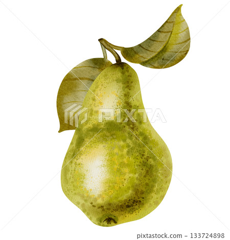 A watercolor illustration of a single ripe, green, speckled pear. Perfect for food packaging, labels, recipes, advertising posters, textiles, and kitchen decor. 133724898