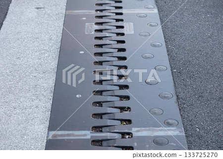 Bridge joint Bridge joint 133725270