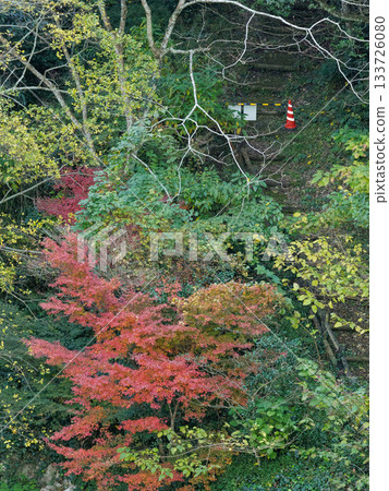 立上峽谷的秋季,道路封閉 立上峽谷的秋季,道路封閉 133726080