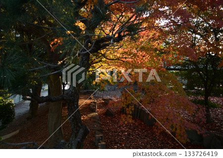 Himeji in Autumn - Sanzaemonbori 133726419