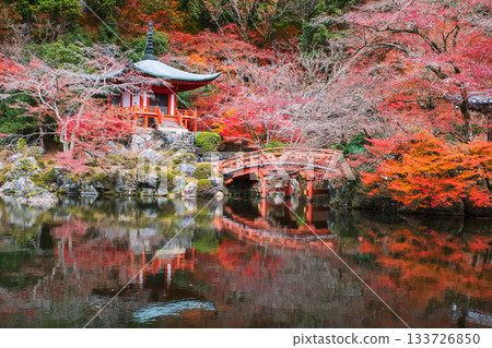 Bridge and Daigo-ji Pavilion pagoda and skyline reflect on pond in fall, Kyoto 133726850