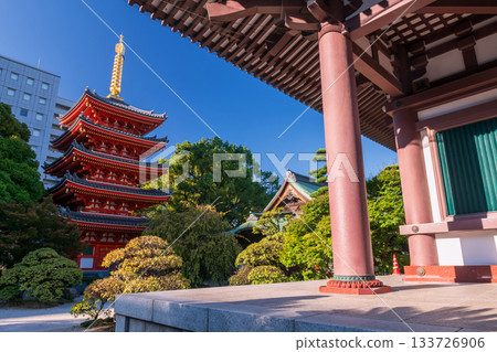 Tochoji Temple pagoda in early autumn against blue sky, Fukuoka 133726906