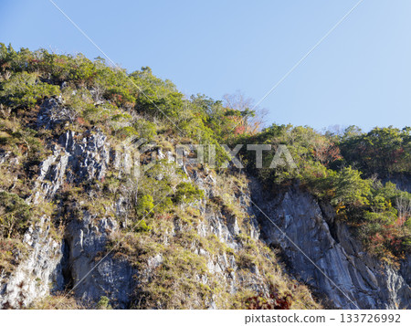 Rock surface with columnar joints remaining 133726992