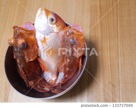 Assorted fish Assorted fish 133727089