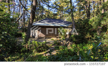 沼津離宮紀念公園的秋天 133727107