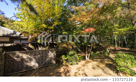 Autumn at Numazu Imperial Villa Memorial Park 133727110