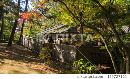 沼津離宮紀念公園的秋天 沼津離宮紀念公園的秋天 133727111