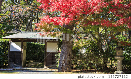 Autumn at Numazu Imperial Villa Memorial Park 133727112