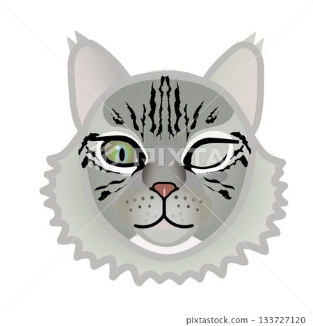 Siberian cat face illustration 133727120