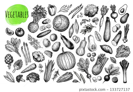 Big collection of vegetable ink sketches. 133727137