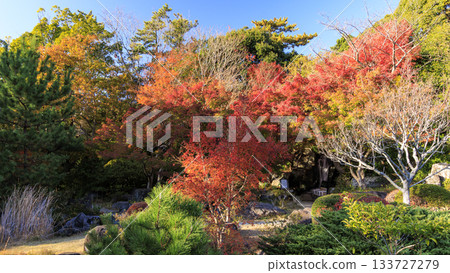 葉山潮騷公園的秋天 133727279