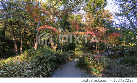 Autumn at Hayama Shiosai Park 133727282