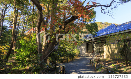 葉山潮騷公園的秋天 133727283