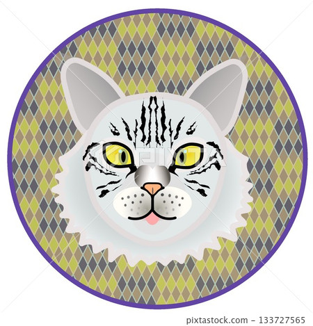 Siberian cat face illustration with circular background Siberian cat face illustration with circular background 133727565