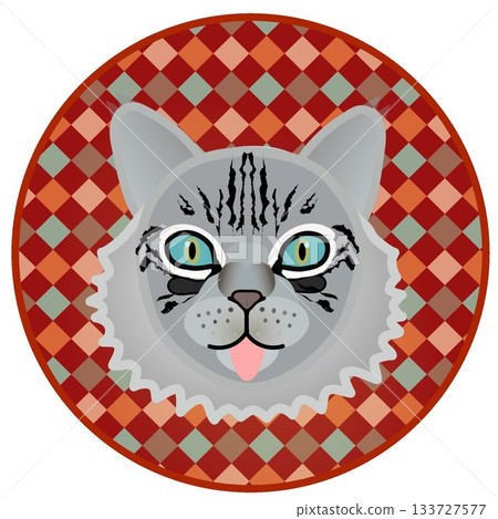 Siberian cat face illustration with circular background Siberian cat face illustration with circular background 133727577
