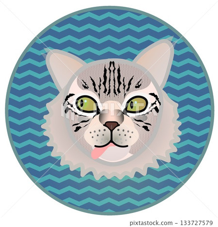 Siberian cat face illustration with circular background Siberian cat face illustration with circular background 133727579