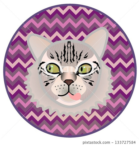 Siberian cat face illustration with circular background Siberian cat face illustration with circular background 133727584
