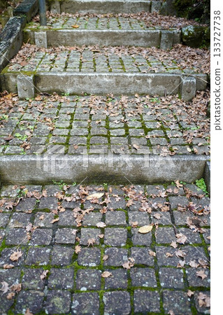石階上堆積落葉。 133727738